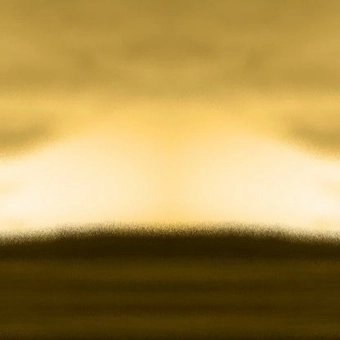 artist image